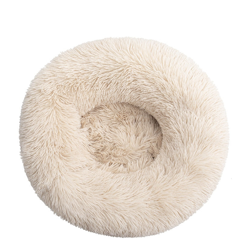coussin-chien-beige