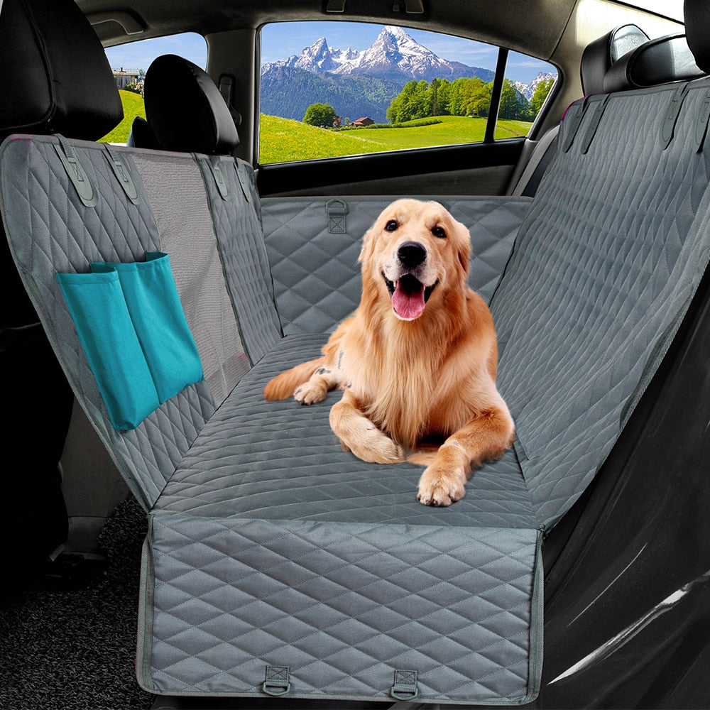 Housse-voiture-chien-gris