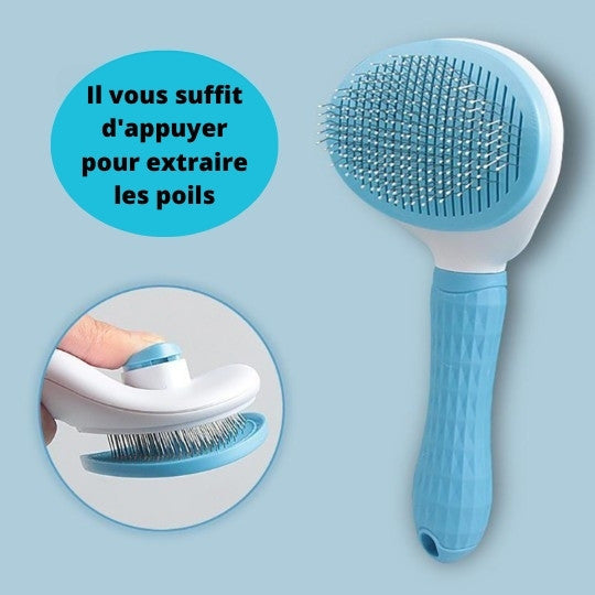 AutomaticBrush™ | brosse professionnel pour chiens