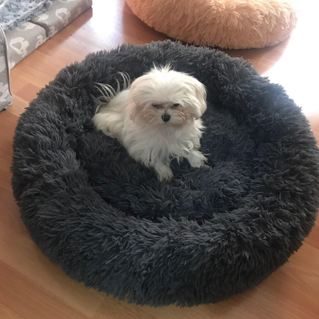 coussin-chien-confortable-moyen-gris foncé