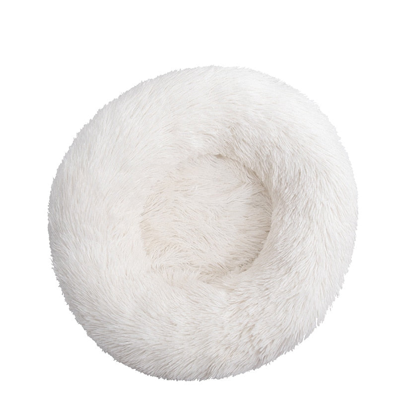 coussin-chien-blanc