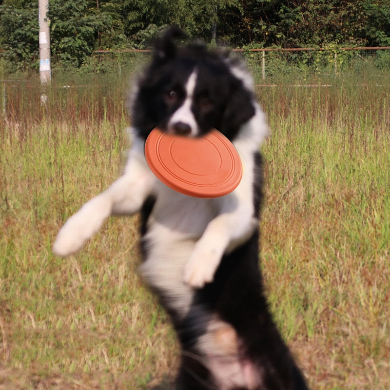 FlyingDisc™ disque volant pour animal de compagnie | Chien