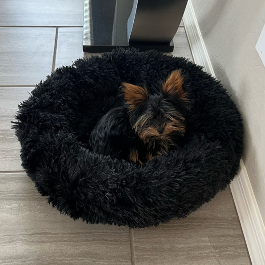 coussin-chien-confortable-noir-petit