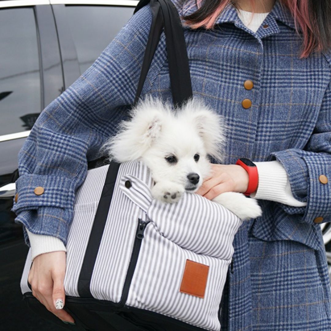 Panier-petit-chien